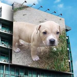 Meet your Posher, Diego